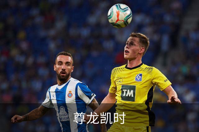 尊龙凯时 公司介绍